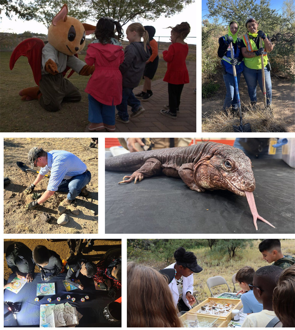 Students in Morenci meet Benny the Bat and other mascots during Biodiversity Week; Abril Contreras (left), Operations Helper, and Kailynn Harris, Crush/Convey Operator Trainee, help remove invasive buffelgrass at Sierrita; a red tegu and other exotic species were shown off in Morenci; students look over a bug collection as part of Bagdad’s scavenger hunt; at Cyprus Tohono, students color pictures for part of a mural; Safford was one of several sites planting agave for migrating bats.