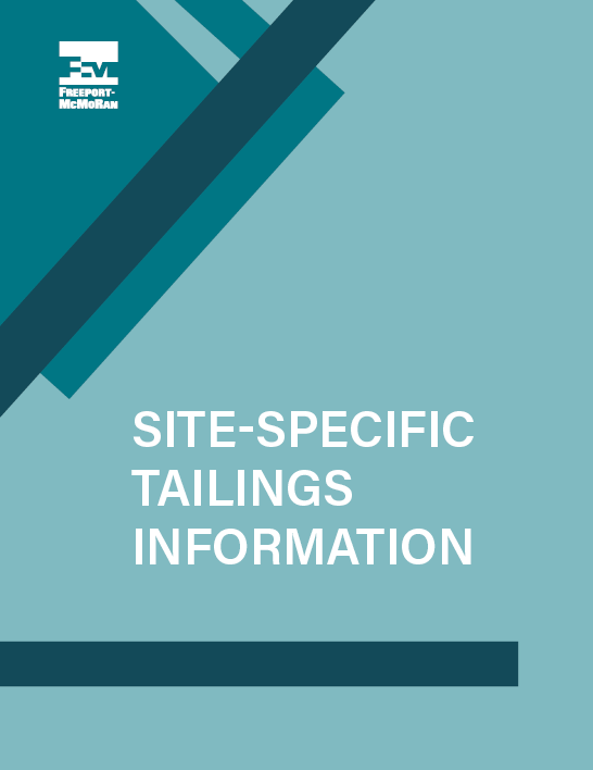  Site-Specific Tailings Management and Information