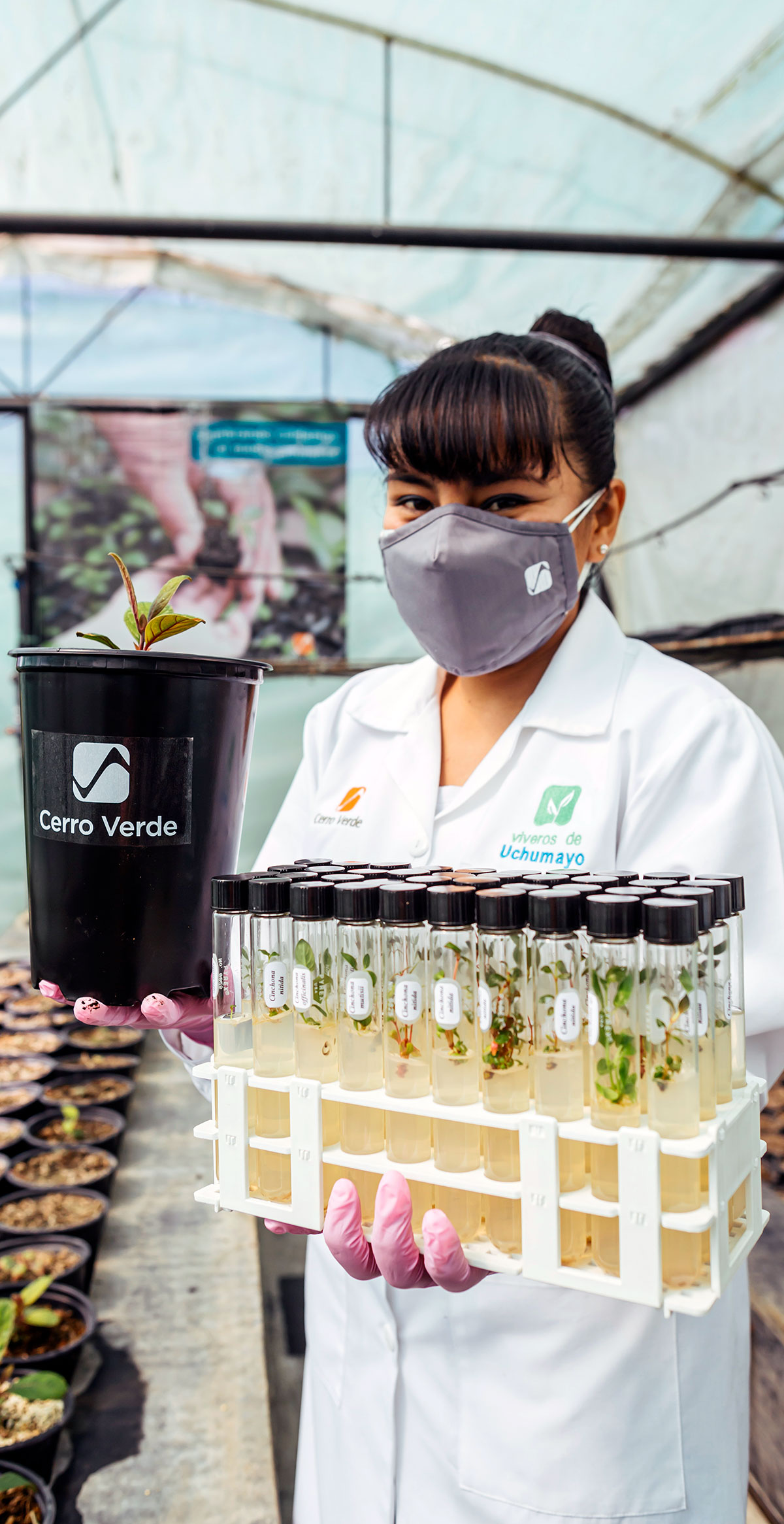 Cerro Verde maintains a native plant nursery near our operations in Peru.