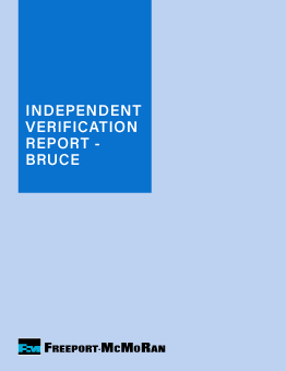Bruce TSF Independent Verification Summary