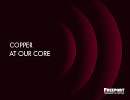 CDP Questionnaire response for Full Year 2024