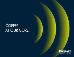 Site Specific Tailings Management