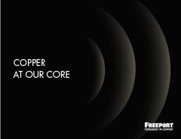 2024 Voluntary Principles Report to the Plenary