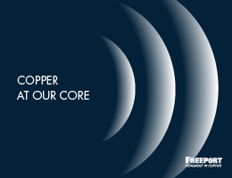 Tailings Reports: U.S and Peru